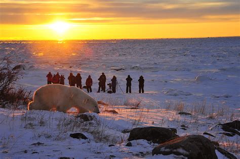 best in churchill attractions